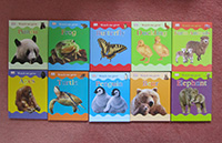 DK books